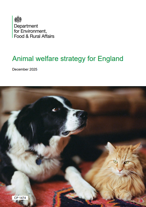 Alex Rattee tweet media