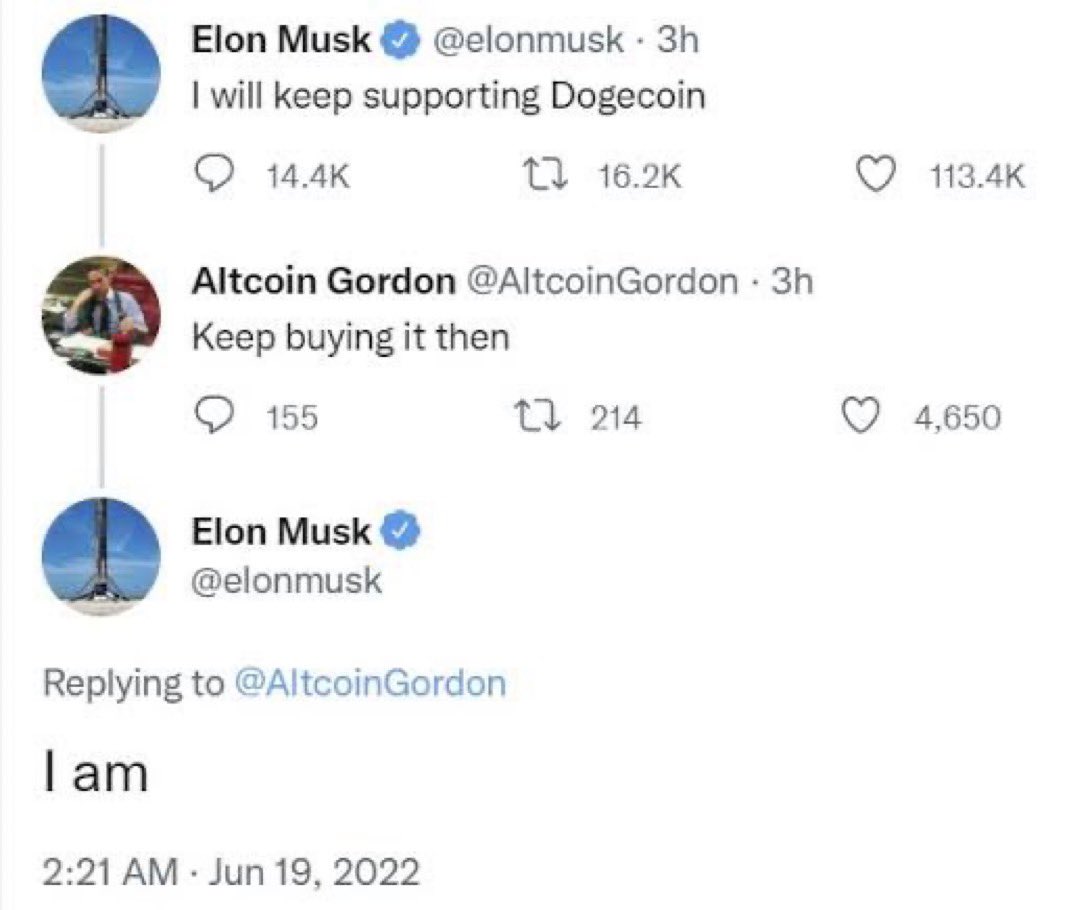 DogeDesigner tweet media