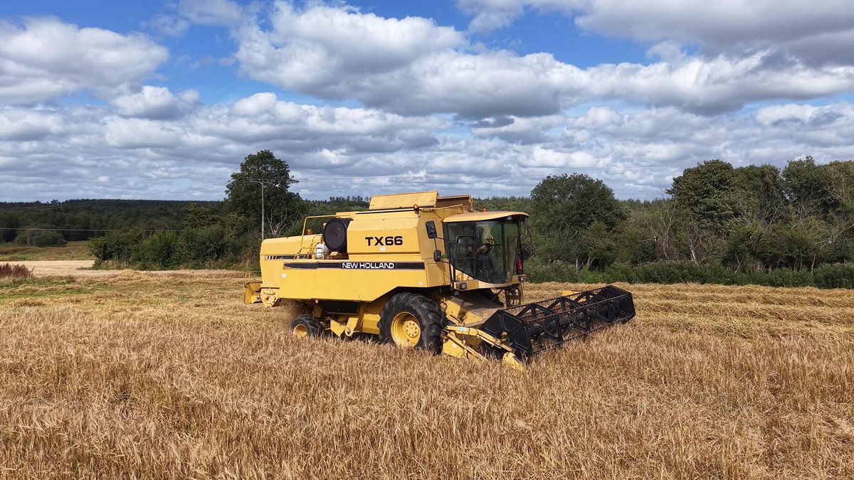 Conall Moore tweet media