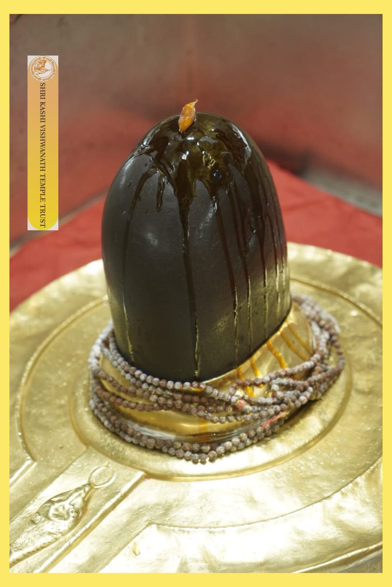 श्री काशी विश्वनाथ जी की श्रृंगार आरती I
#kashivishwanath #kashi #sanatandharma #banaras