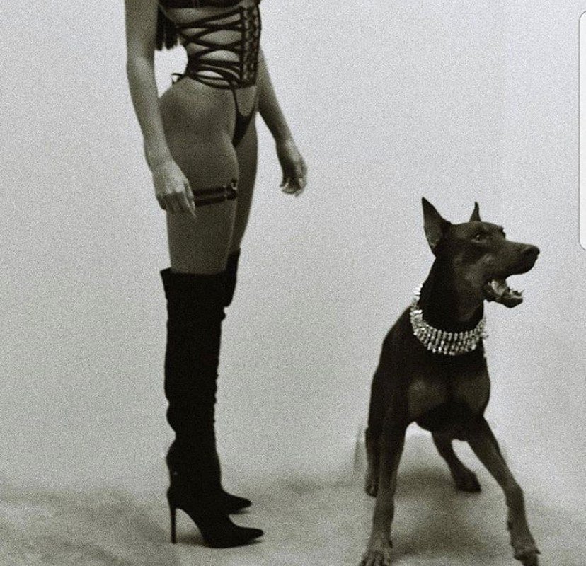 gibbytarot's tweet image. bharani