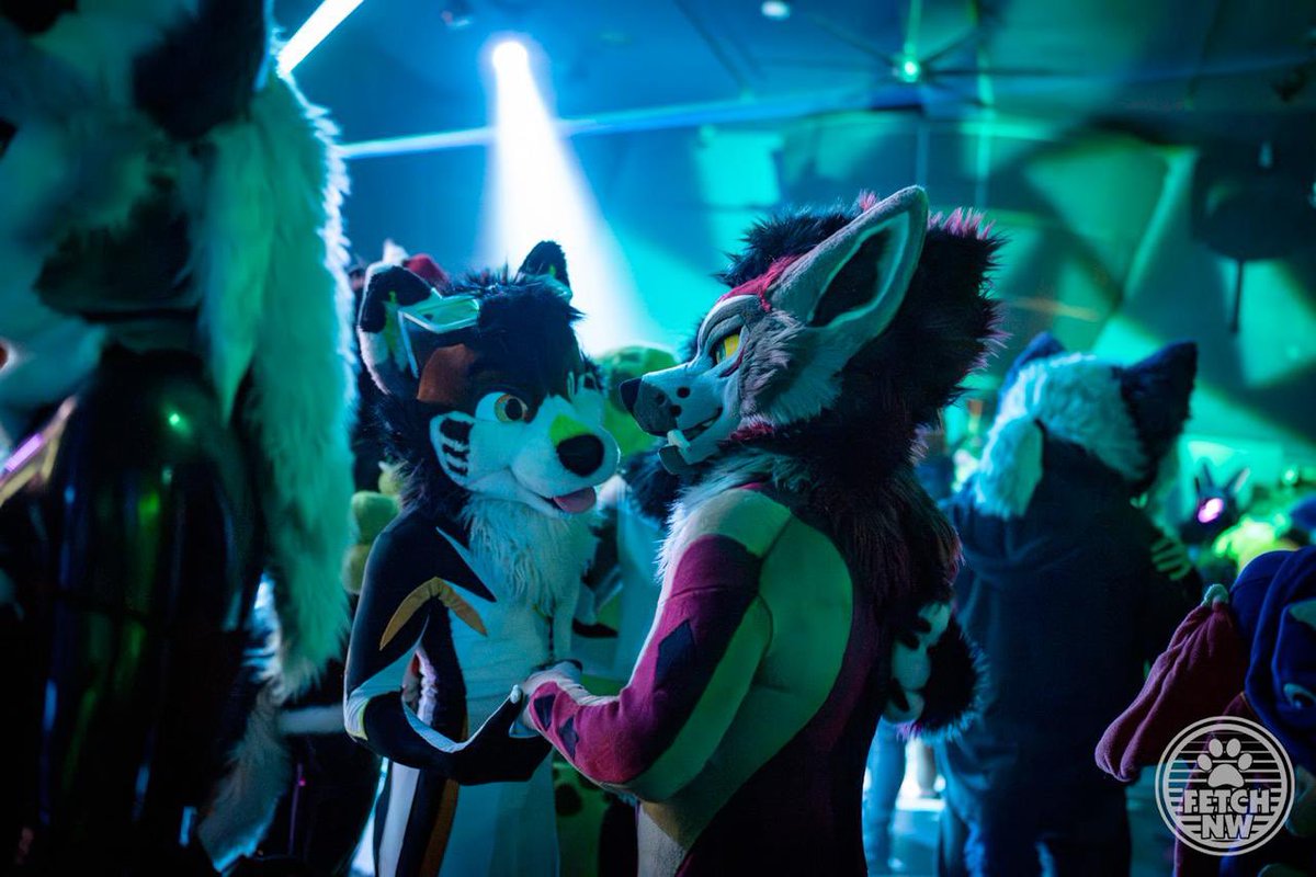AnejoYote's tweet image. Dancing the night away at @FetchNW ~ what a great time with @kleekaiihusky