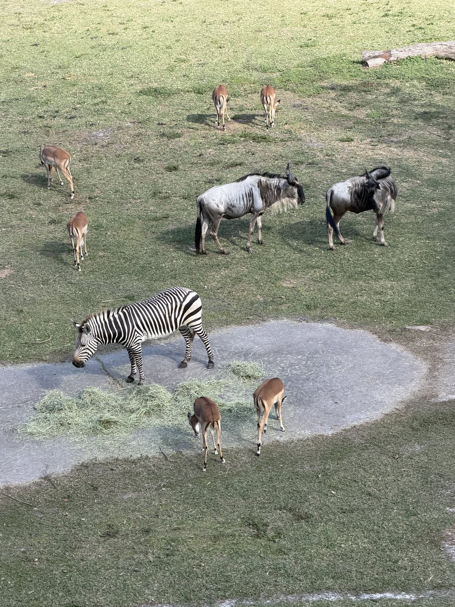 Someone left the barn door open