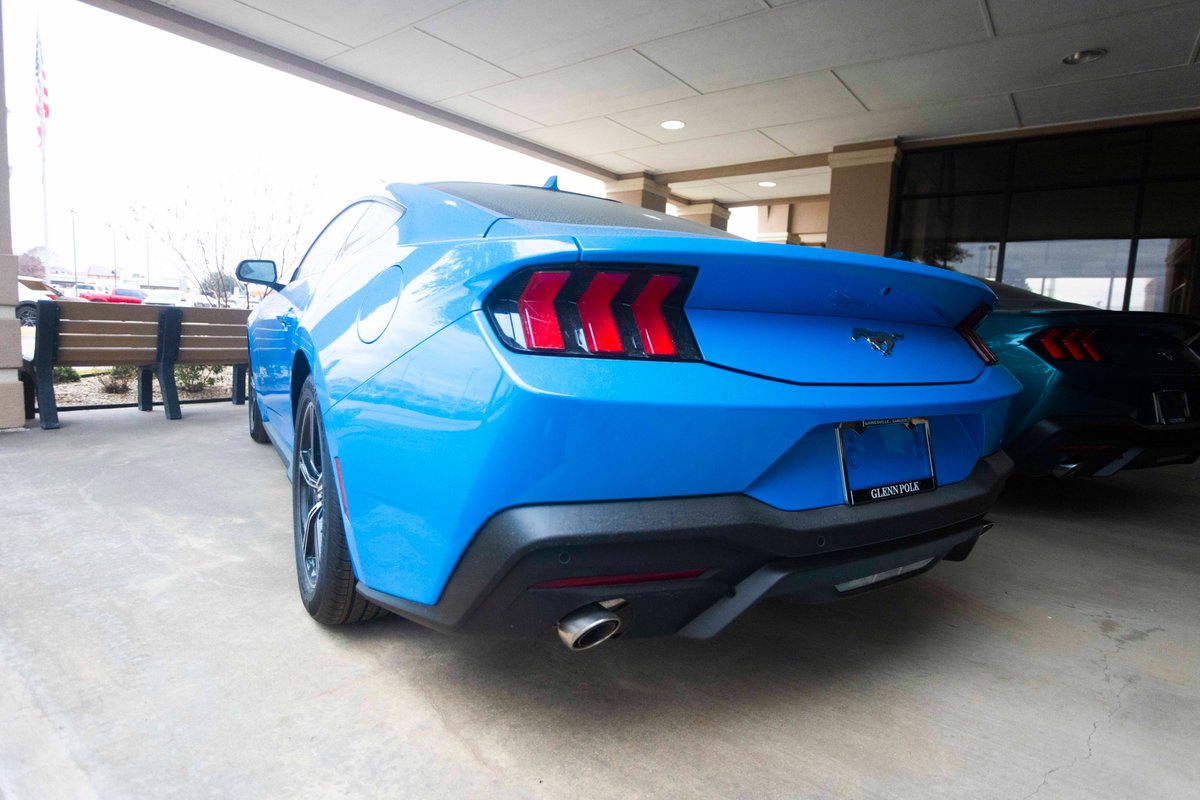 GPolkAutoplex's tweet image. ake advantage of GPolk discounts on Mustang inventory today!
glennpolkford.com/inventory/new-…
#gpolk #ford #mustang #gpolkdiscount #gainesvilletx