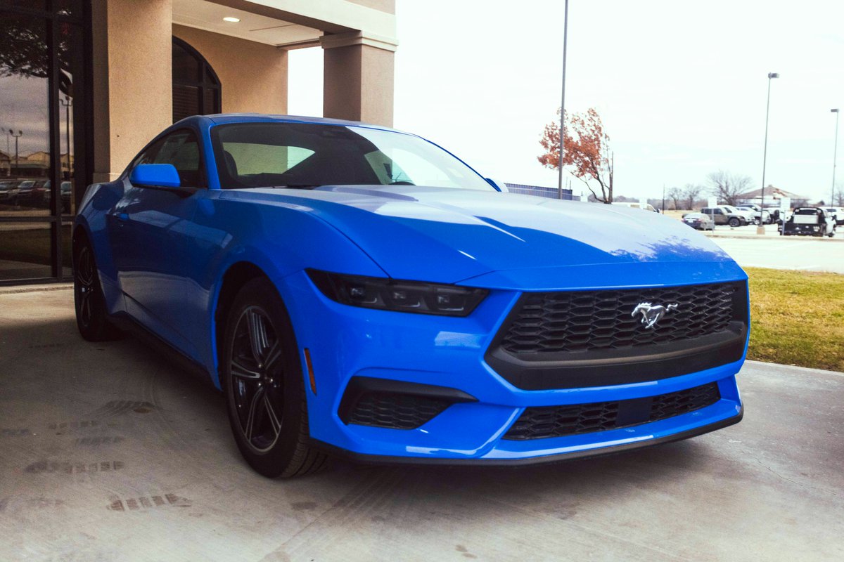 GPolkAutoplex's tweet image. ake advantage of GPolk discounts on Mustang inventory today!
glennpolkford.com/inventory/new-…
#gpolk #ford #mustang #gpolkdiscount #gainesvilletx