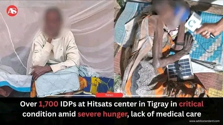menkemeyob252's tweet image. Over 1,700 IDPs at #Hitsats center in #Tigray in #critical condition amid severe #hunger, lack of medical care
More than 1,700 internally displaced persons (IDPs) sheltering at the Hitsats IDP center in Tigray 

Addis Standard