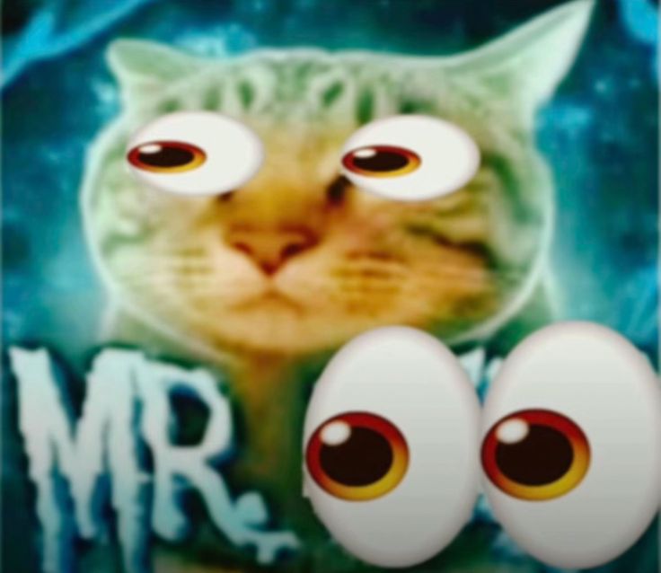 Shonkler tweet media