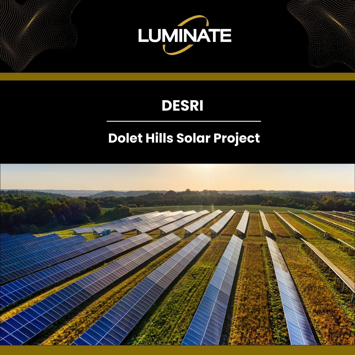 Luminate, LLC tweet media