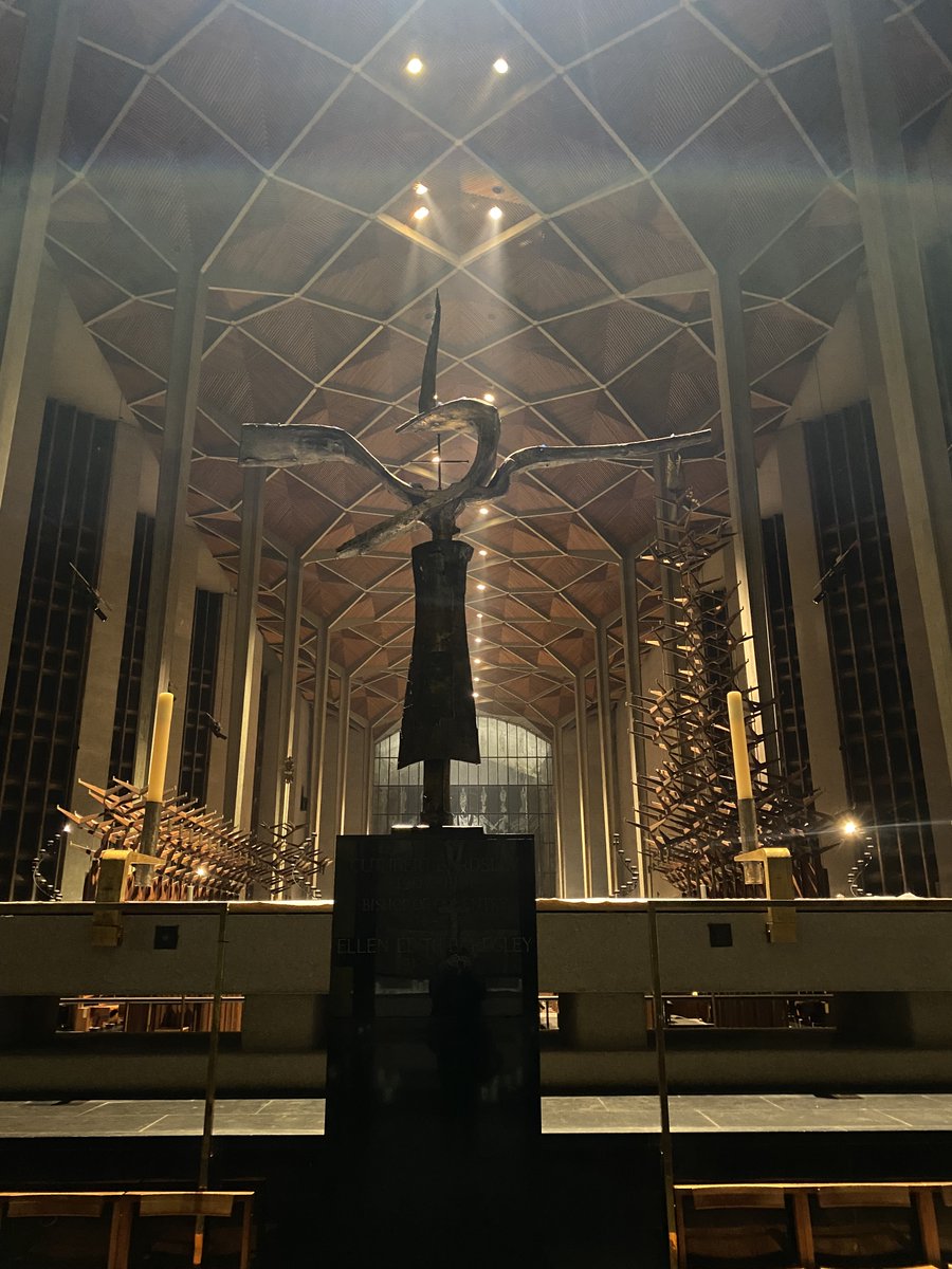 alex fielding 🇪🇺 tweet media