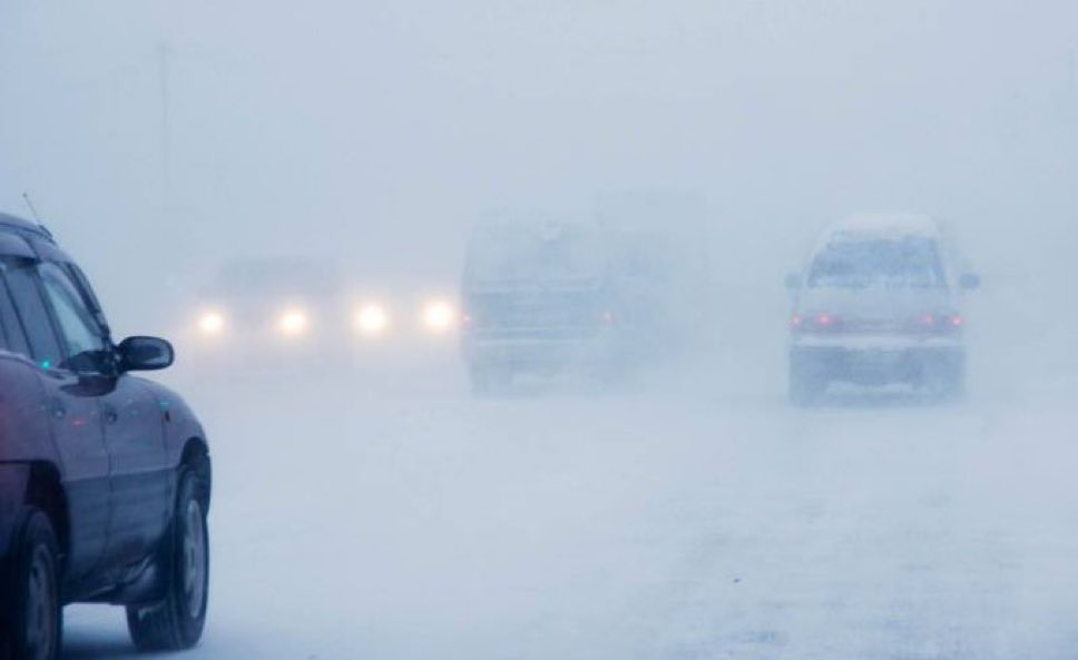 Munkhtselmeg Munkhsaihan (@munkhtselmegm) on Twitter photo 