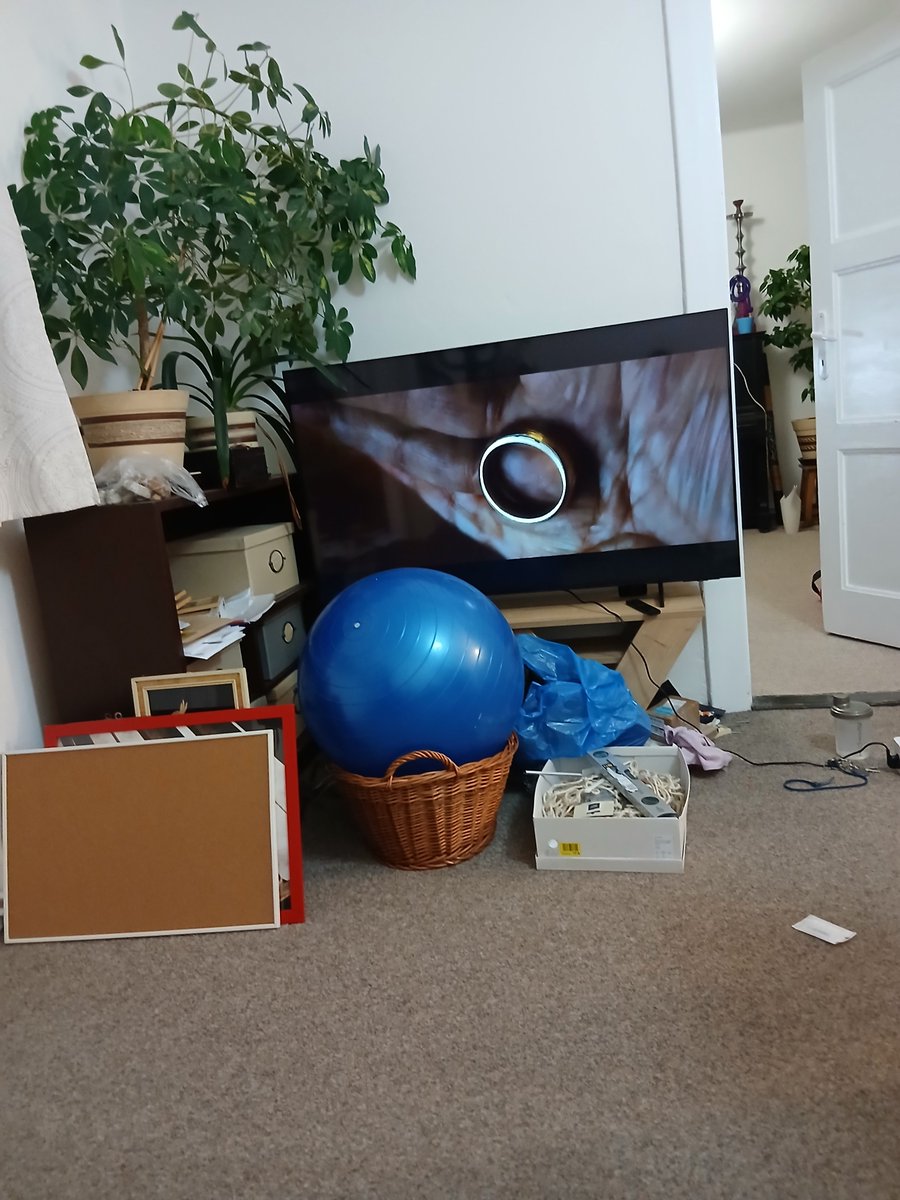 NerdiPrincezna's tweet image. Všude bordel, dárky nezabalený, okna špinavý, nepekla jsem, ale mám novou bednu a můžu si prohlížet Aragorna na 55".
#priority
#protip