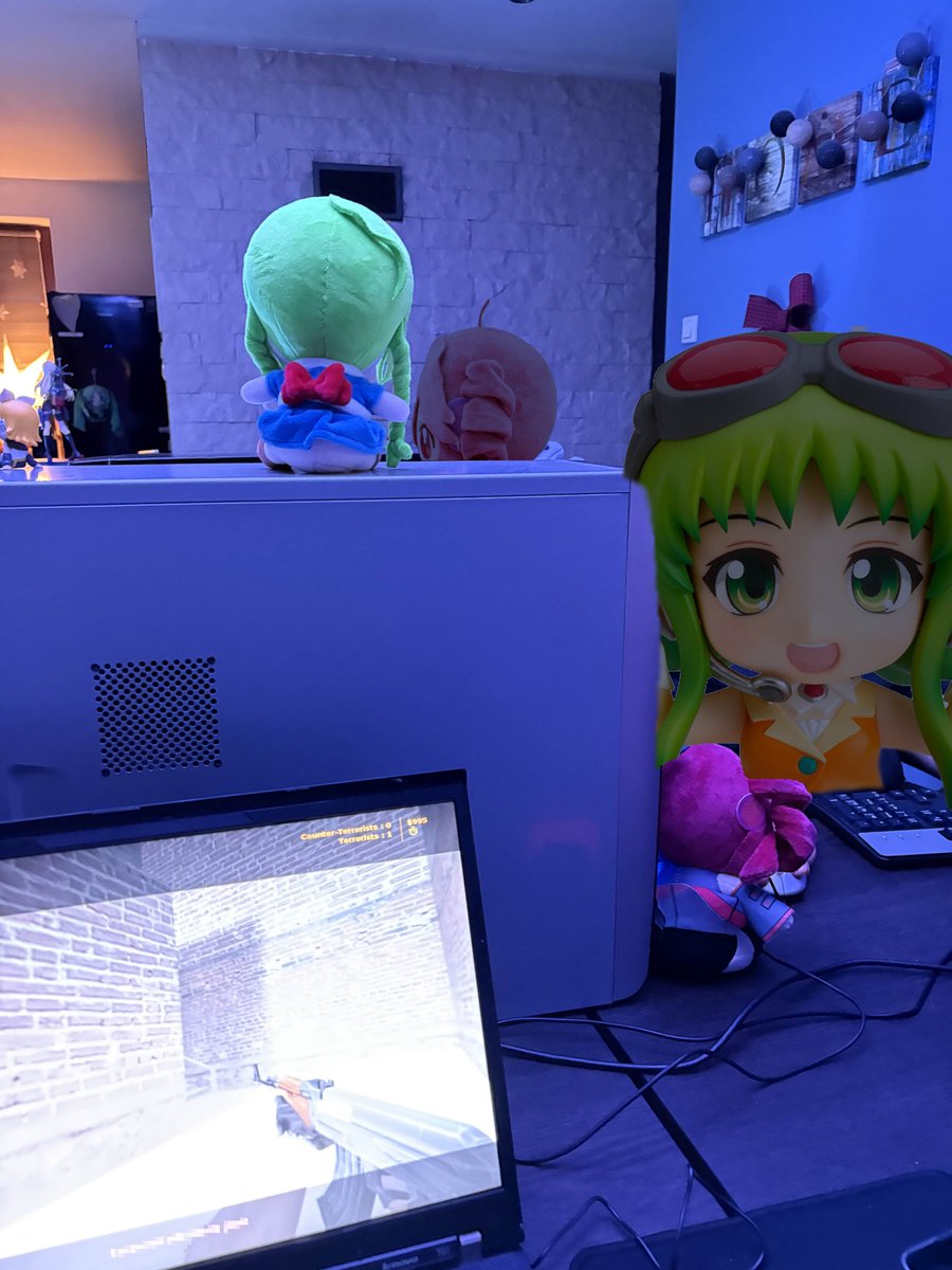 prefetcher 🦝 tweet media