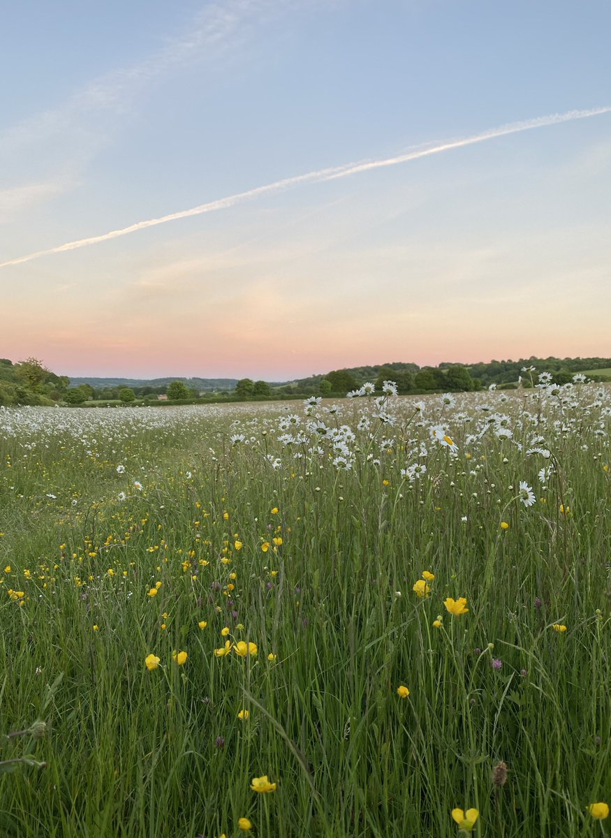 Devil4me2's tweet image. おはよ！ 気づいたらもう夜だ😳 💻 🥵