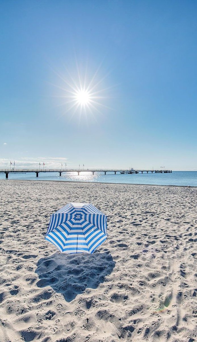 devotion_hub's tweet image. おはようございます☕ やる気でない😪。音楽聴きながらまったり。無理せずいこ 📚 🥶