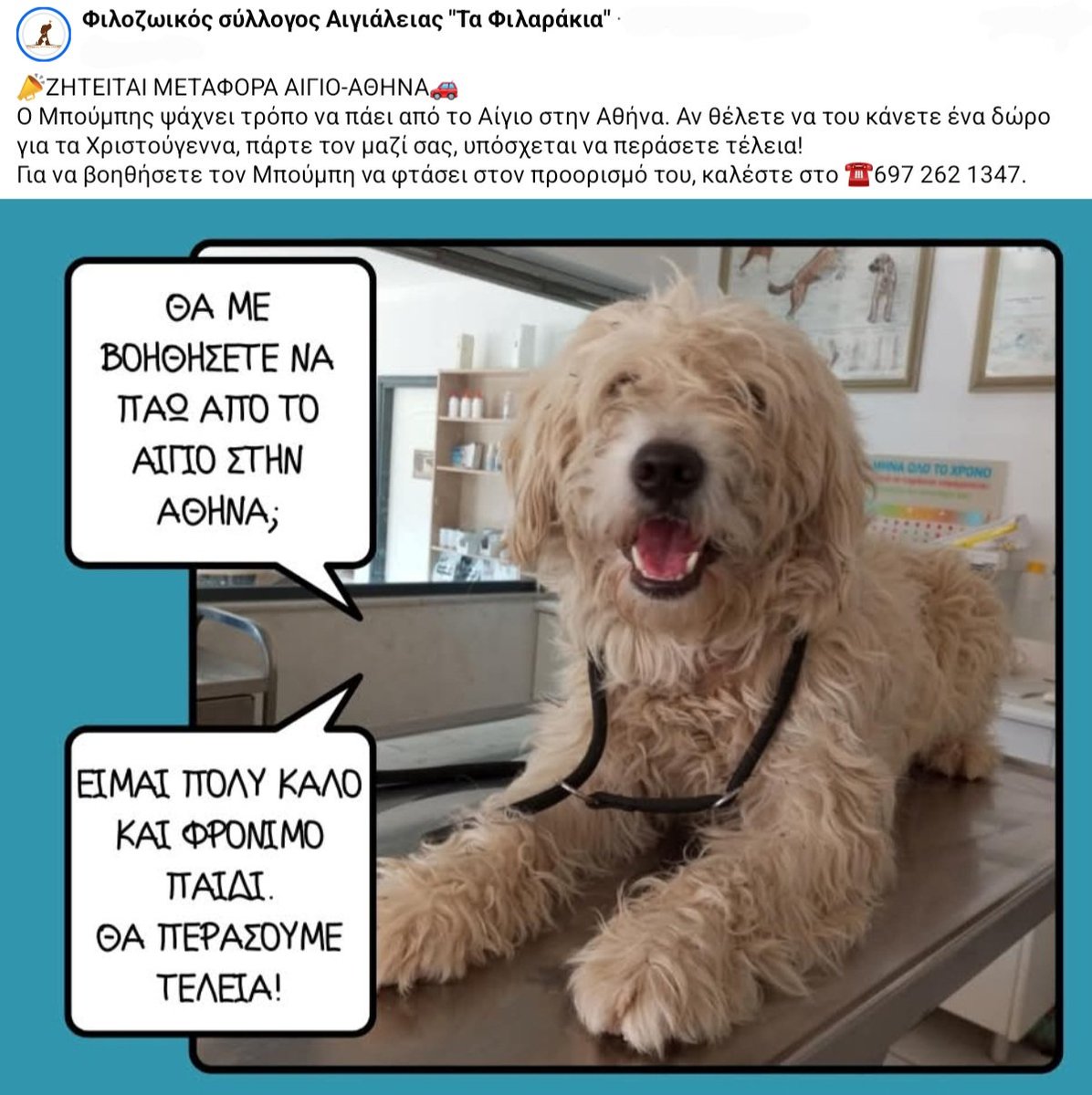 Από το Αίγιο στην Αθήνα έρχεται κάποιος τώρα τις γιορτές να φέρει και αυτή την ψυχούλα??