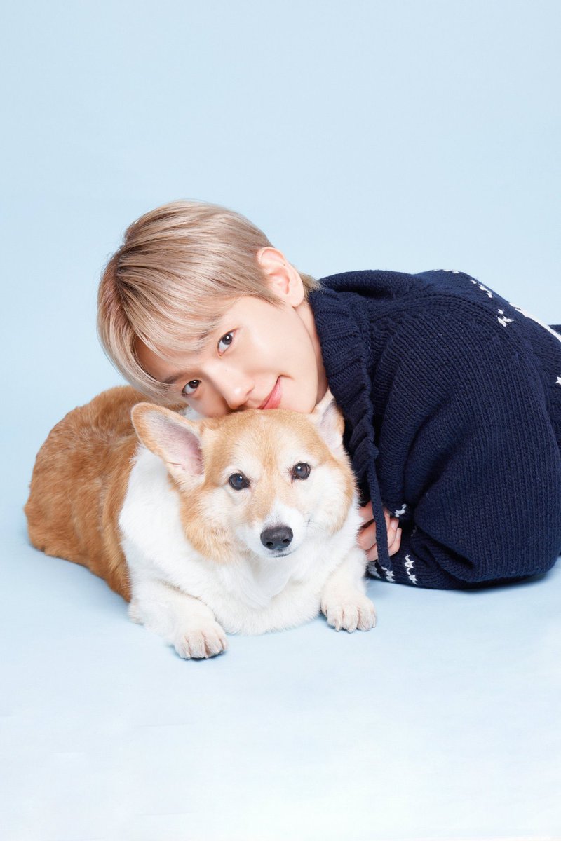 chanbear's tweet image. Cryinggg i want to have a photo like this with my pup