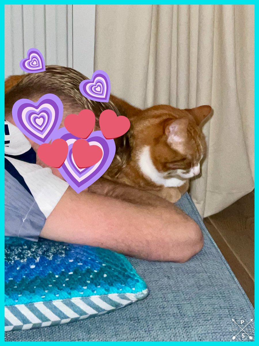 Mijn grote vriend is terug! Even samen een slaapje doen…