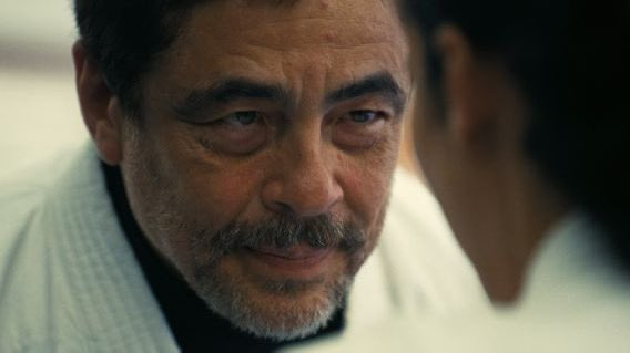 Os mais premiados da Awards Season 2026 (por categoria):

• Atriz — Rose Byrne (15)
• Ator — Michael B. Jordan (10)
• Atriz Coadjuvante — Amy Madigan (12)
• Ator Coadjuvante — Benicio del Toro (13)