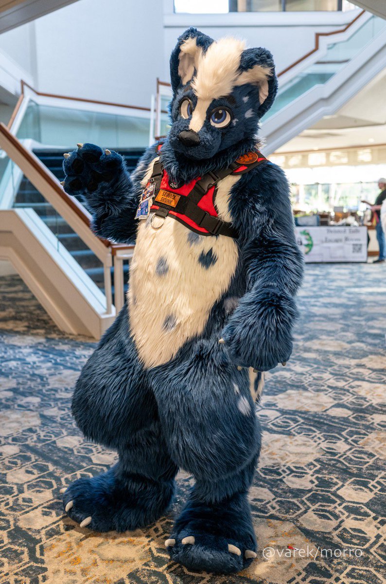 Heisler🦨 tweet media