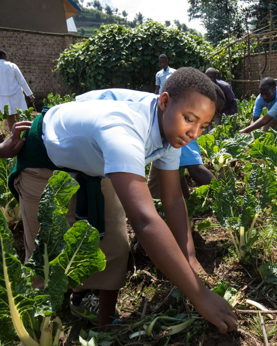 ADRA International tweet media