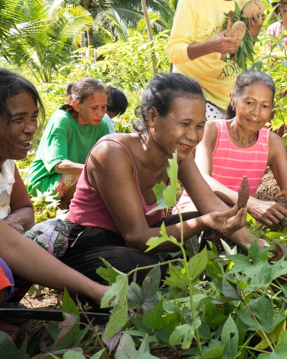 ADRA International tweet media