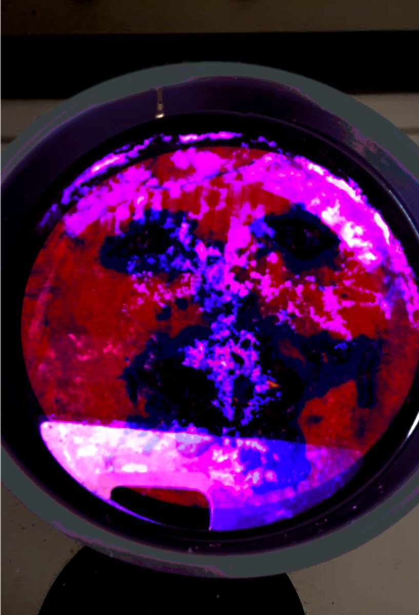 It’s almost done, sometimes we need a little bit of help in the kitchen. Sometimes.💚