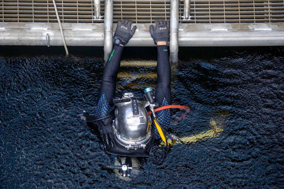 TheCVN69's tweet image. When readiness goes underwater, we go with it 🤿                                                                                   Mid-Atlantic Regional Maintenance Center (MARMC) and IKE sailors are getting it done below the waterline 🌊🦅   

#MIGHTYIKE #GREATEREACHDAY