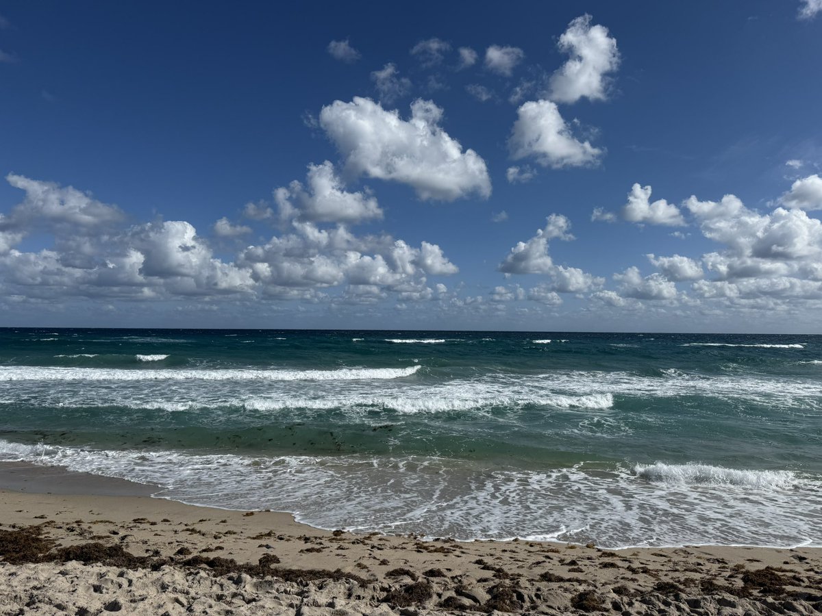 abilicry's tweet image. Beach 🌊🏝️