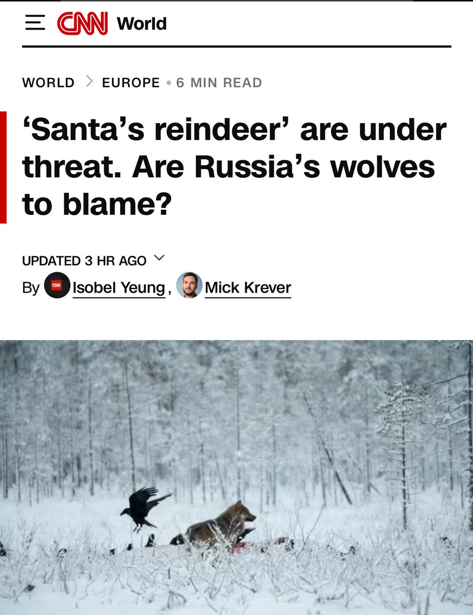 offgriddesigner's tweet image. NATO is getting fkin desperate 🤣