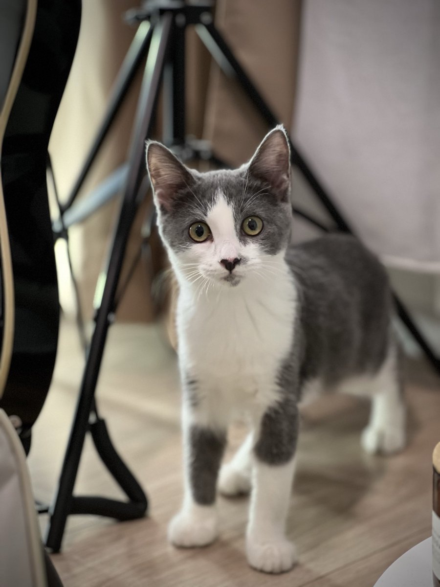 Девушка с кружкой (неудачный закос под Навку) tweet media