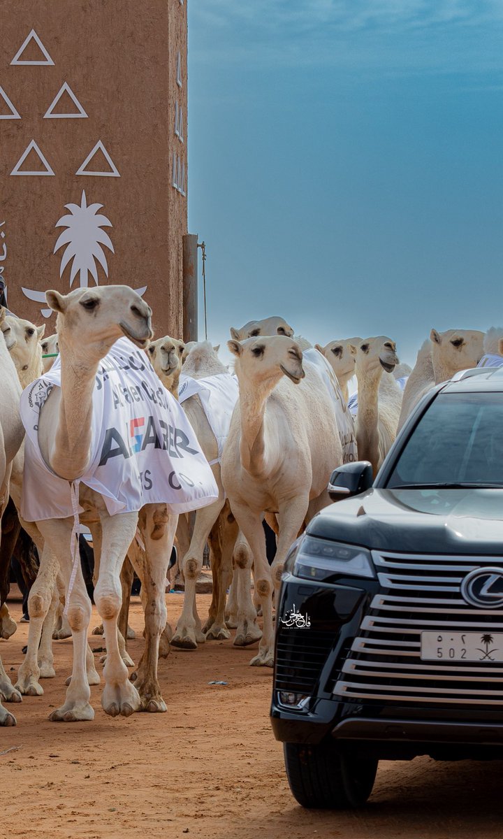تبرا لها خطلان الايدي مفنية مجد العروش
بالمسرجات اللي يهز القاع دبك حذيها