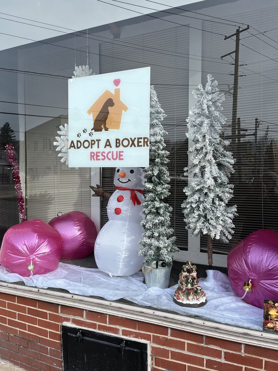 adopt_boxer's tweet photo. Local peeps come celebrate Christmas shopping night tonight from 6-830 at our HQ 616 Lackawanna Ave Blakely PA . No tax, NO shipping #shoptillyoudrop #shop #boxerdoglovers #shopfortheboxers #celebrate #shoplocal #supportyourlocalrescue #NEPA https://t.co/bSPLsxOEPg
