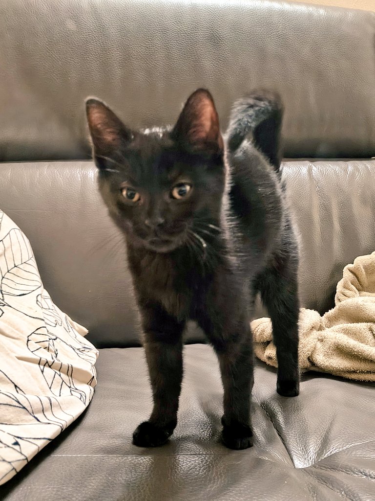 makiu🇨🇭🇯🇵 (@magizzy_ch) / Posts and Replies / X, image size:768x1024