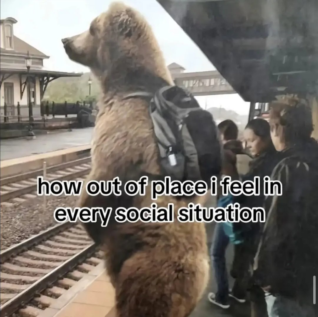 Titan Bearrrr (@titanbear41) on Twitter photo 