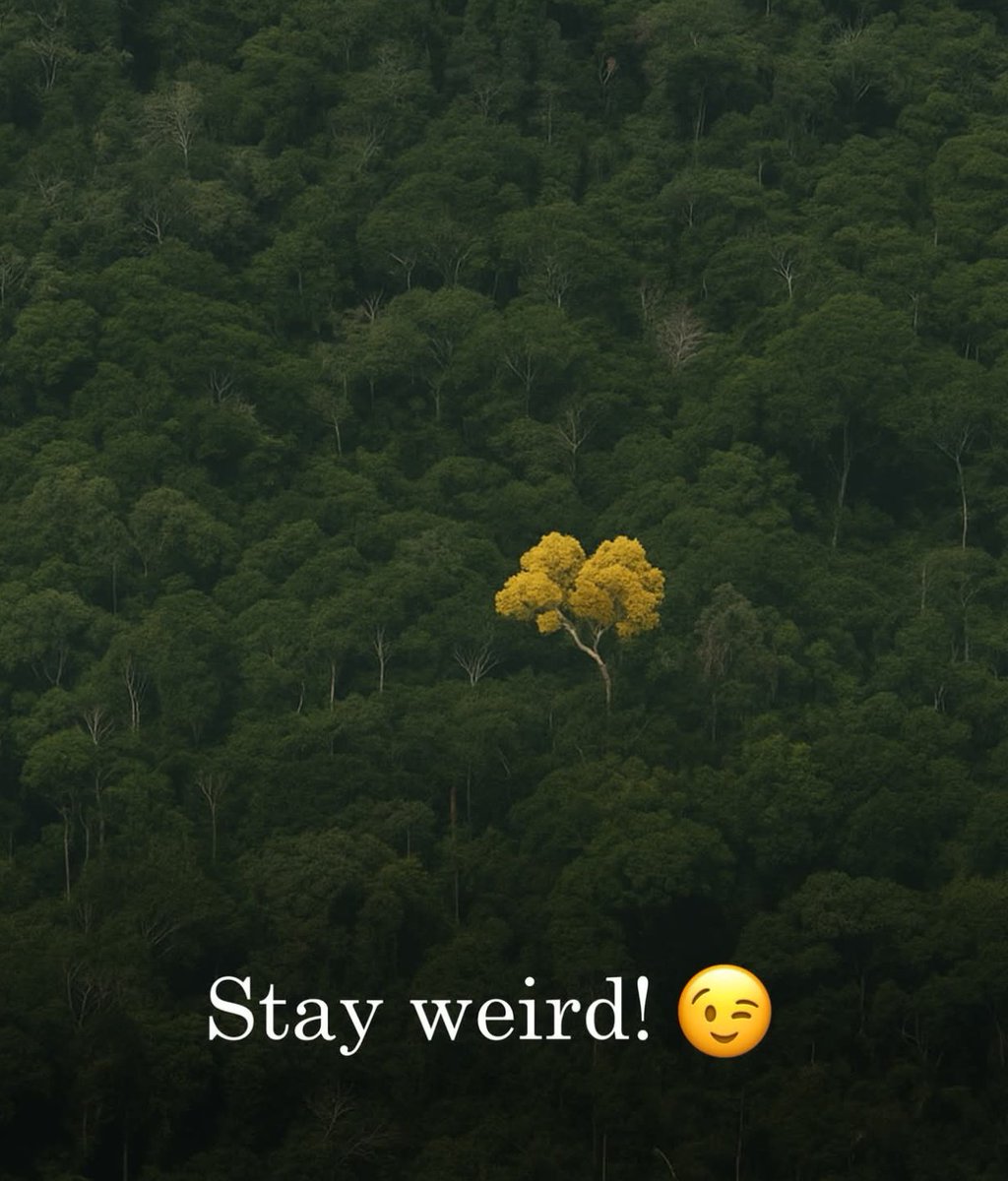 Stay weird!
