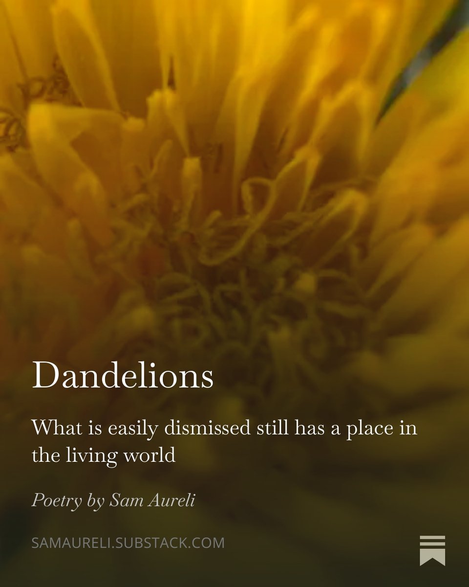 Sam Aureli tweet media