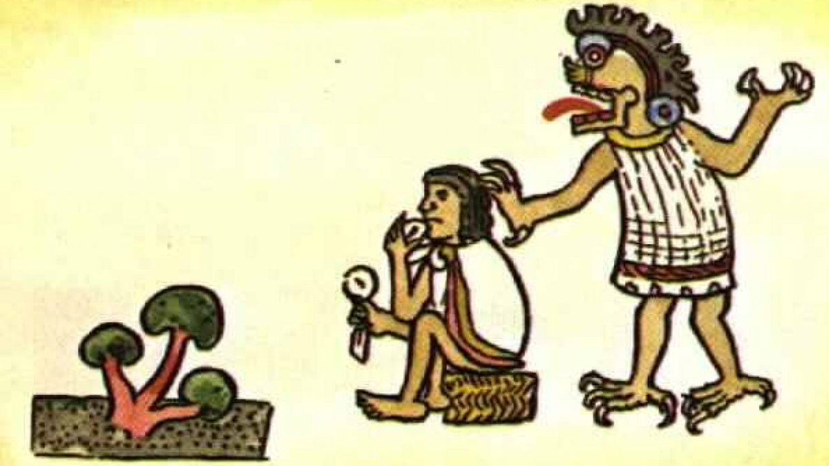 panda_profesor's tweet image. Nanácatl 🍄🍄🍄
Mayas, mixtecos, nahuas y muchas otras culturas antiguas de #Mexico consumieron y adoraron a los hongos.
Carne de la tierra, o vehículo para contacto con el mundo sobrenatural, diversas especies eran consumidas en cada región. 
#arqueologia