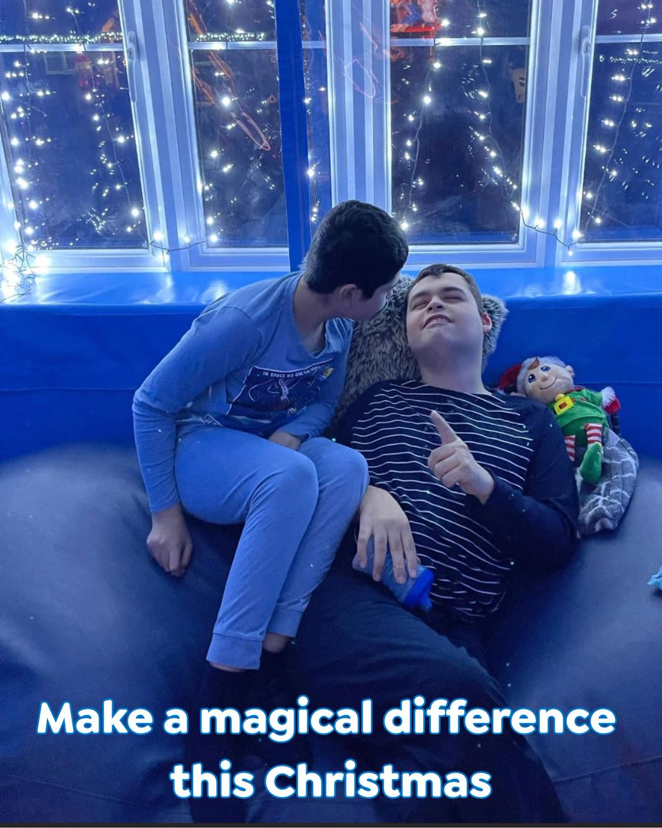 Seashell tweet media