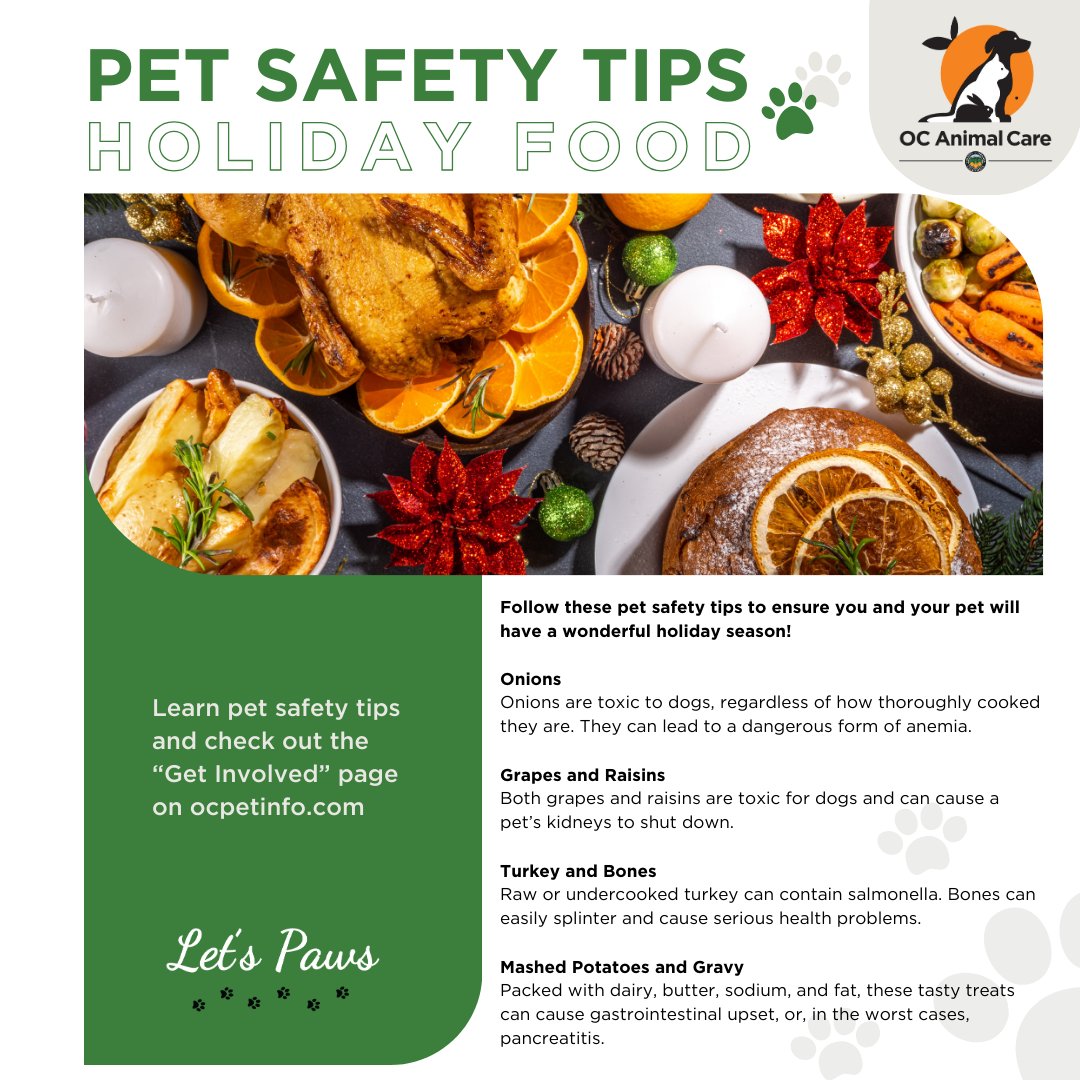 🐾 Let's Paws 🐾 It's the most wonderful time of the year, but it can also be a hazardous season for our furry friends. Follow these pet safety tips to ensure you and your pet will have a wonderful time celebrating without any accidents or mishaps.