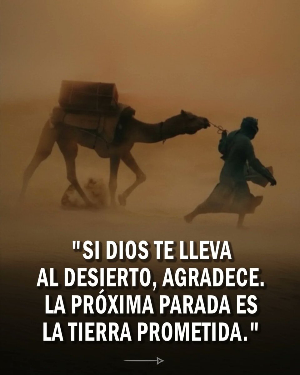 secretosdeleter's tweet photo. Si pudiese darte algunos consejos tras 38 años de aprendizaje en este mundo, serían estos:

(1/9) 🧵 https://t.co/4TkzImqFi4