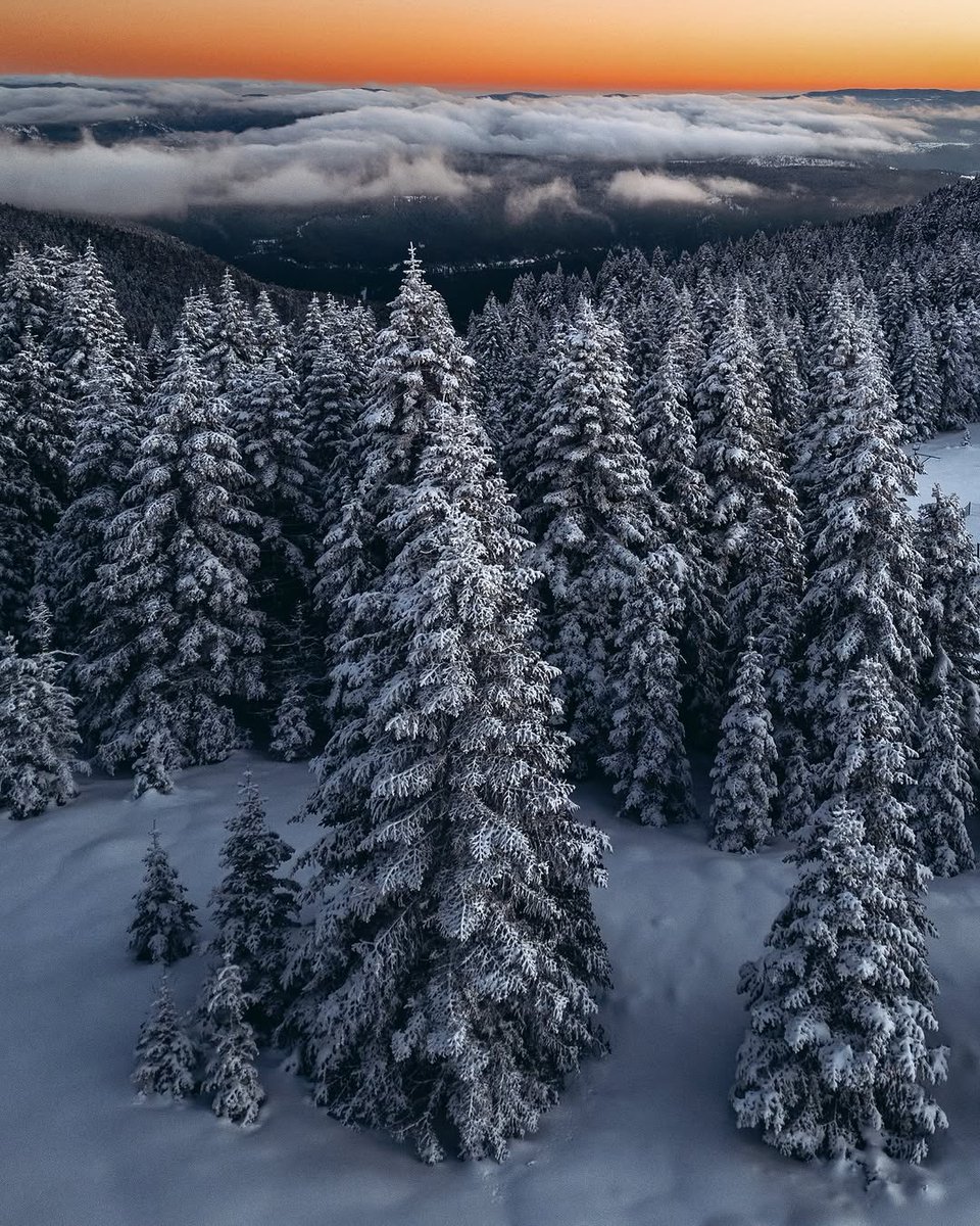 Kastamonu, Ilgaz Dağı Milli Parkı’na gitmeliyiz.