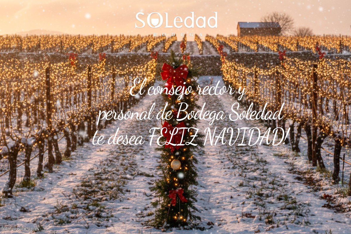 El Consejo rector y personal de Bodega Soledad, te desea FELIZ NAVIDAD.

#bodegasoledad #desde1958 #riberadelansares #bisiesto #solmayor #vinosdeucles #vinosdecuenca