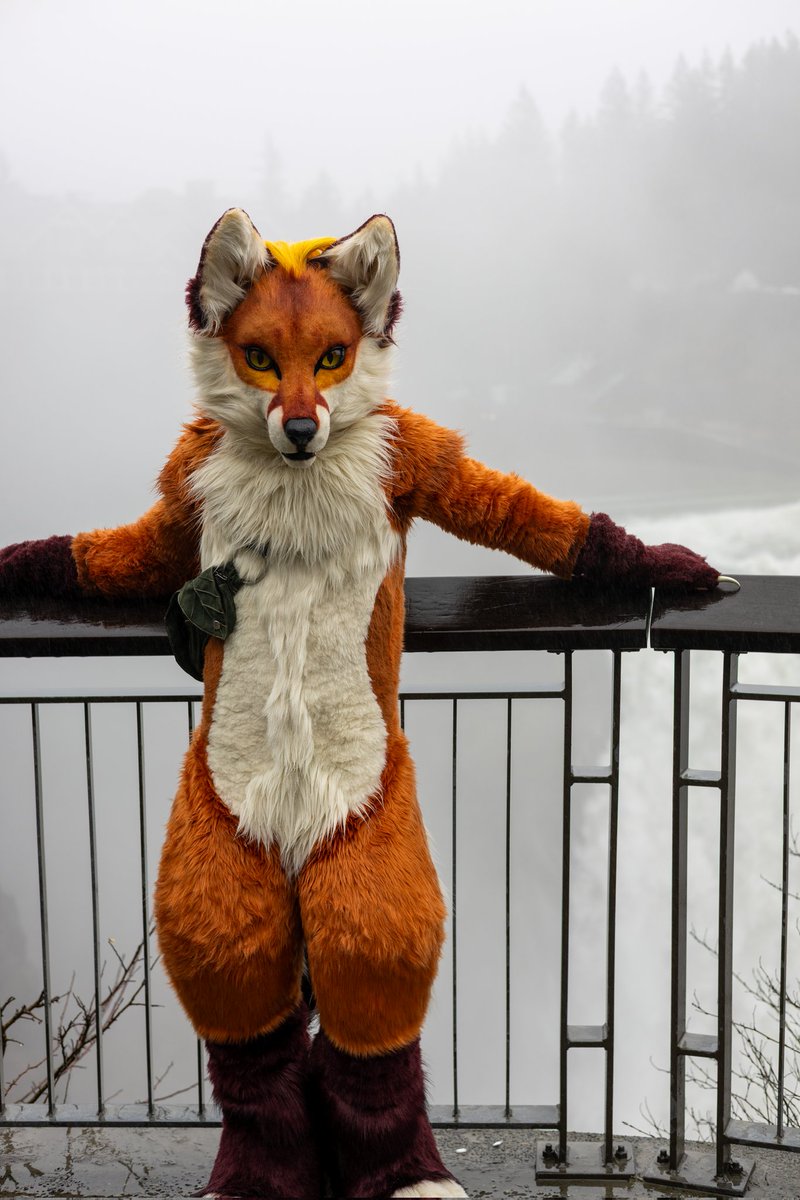 A slightly wet visit to Snoqualmie Falls.  Historic rainfall in Western Washington has the falls and rivers absolutely raging.

📷 <a href="/DuskAraiguma/">Dusk 🔜 TFF</a>

#fursuit #pnw