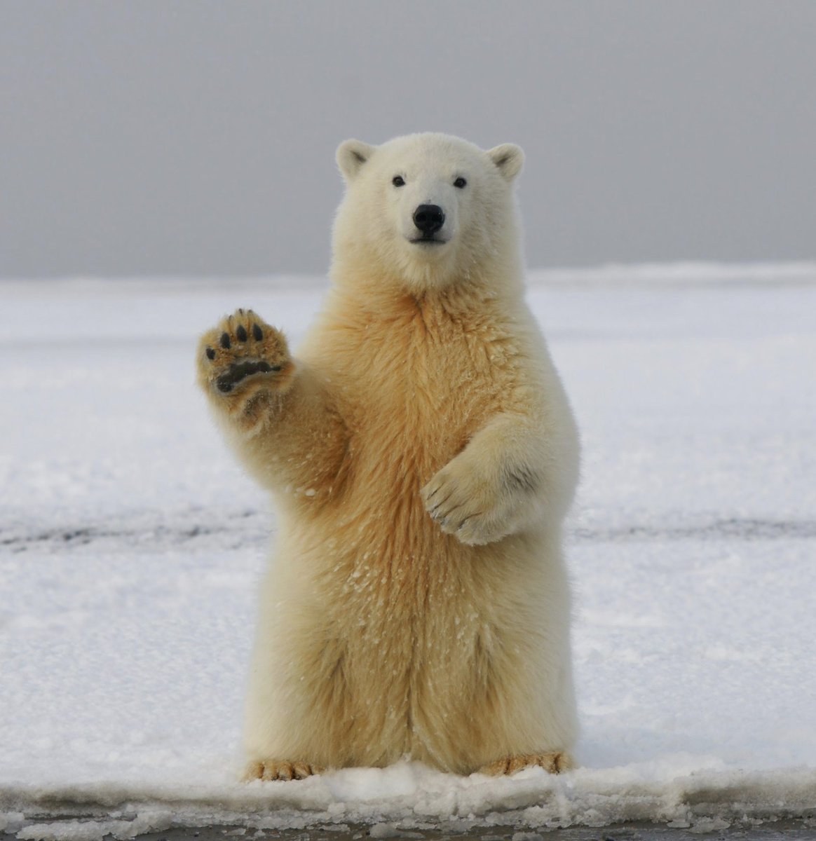Welcome to winter, y'all!!!  The days are starting to get longer.
