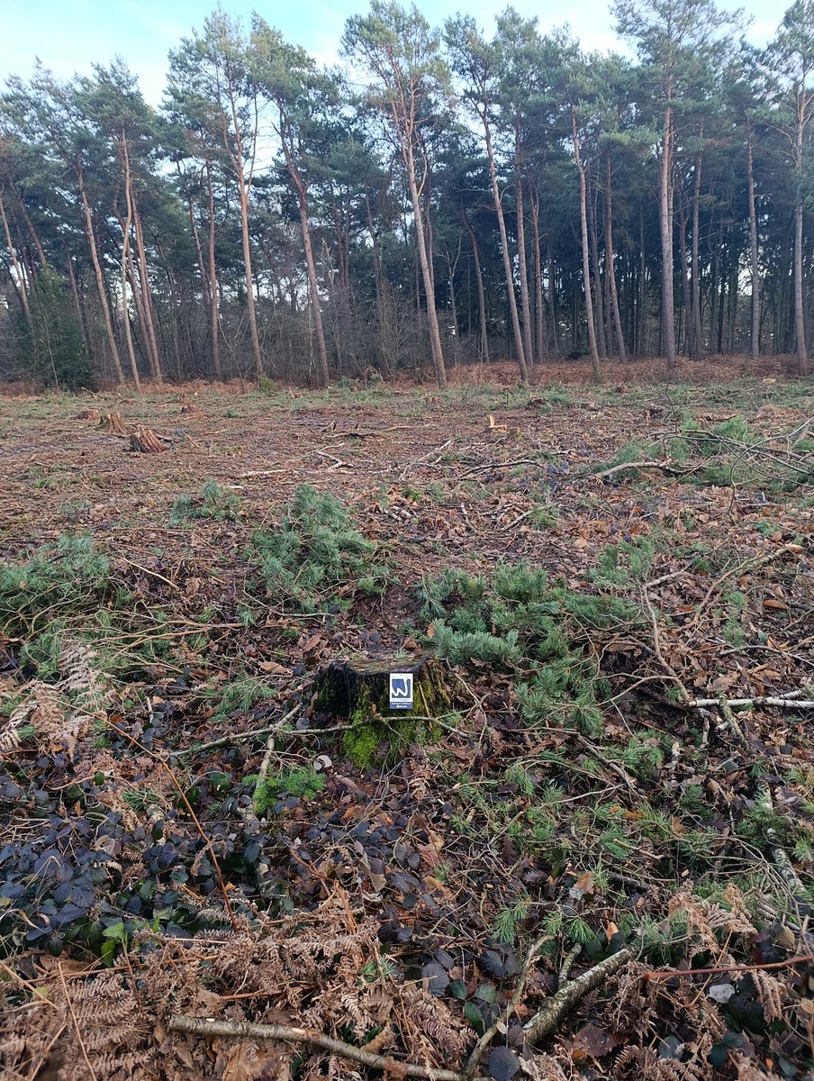 Beispielbild #Korruption
#Windkraftmafia