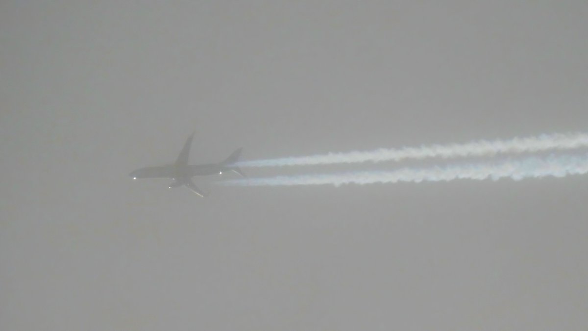EHSBspotter's tweet photo. In the darkest time of the year, I will spot anything remotely special I can get - this is Dubai Air Wing Boeing 737-8EC(BBJ2) A6-MRM cruising over the Netherlands as #DUB6 from London Stansted to Dubai International Airport.
Backlit through haze -- and it's showing ๐
#NLspot https://t.co/RoCe2hAkLs