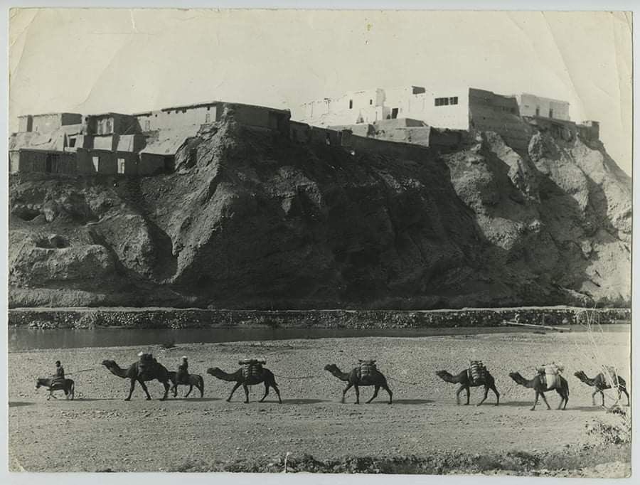 ThelastHamlett's tweet image. 26.