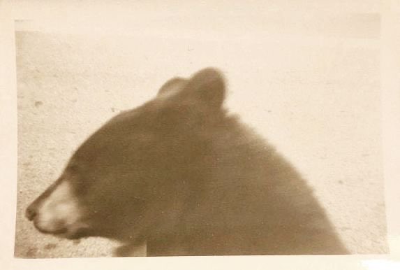 ThelastHamlett's tweet image. 26.