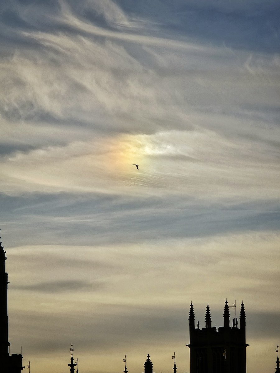 گیسو پریشان🪽 tweet media