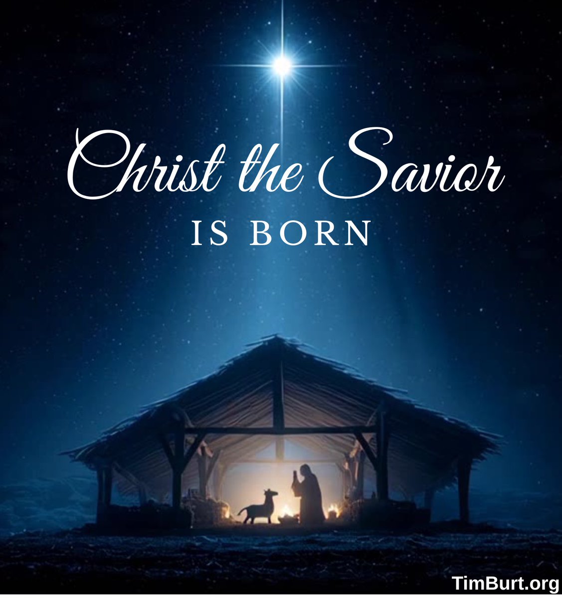 TimBurt's tweet image. 